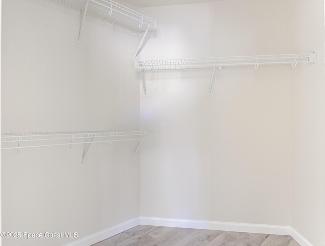 walk in closet featuring light wood-style floors