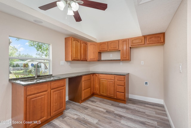 kitchen with ceiling fan, sink, and light hardwood / wood-style flooring