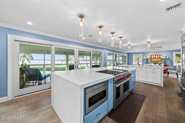 kitchen with a wealth of natural light, hanging light fixtures, stainless steel appliances, and a kitchen island