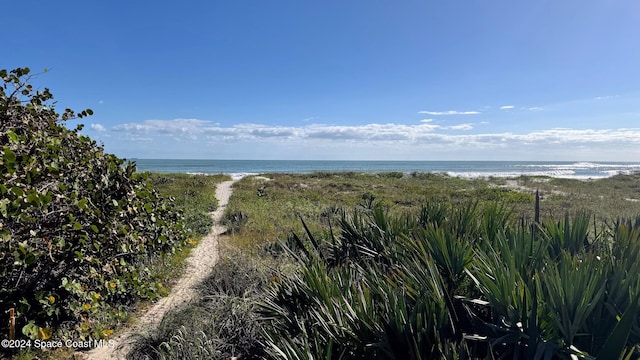 water view featuring a beach view