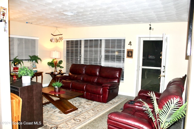 living room featuring a textured ceiling