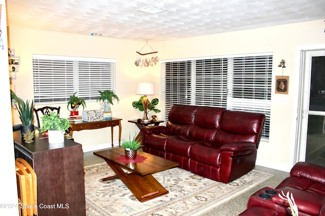 carpeted living room with a textured ceiling