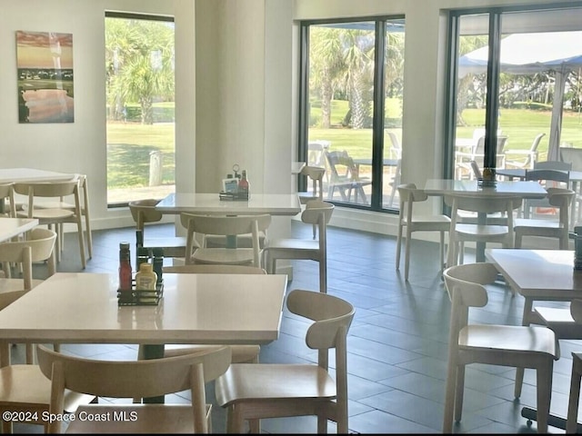 dining space featuring a wealth of natural light and hardwood / wood-style flooring