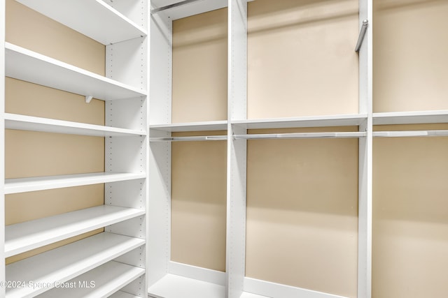 view of spacious closet