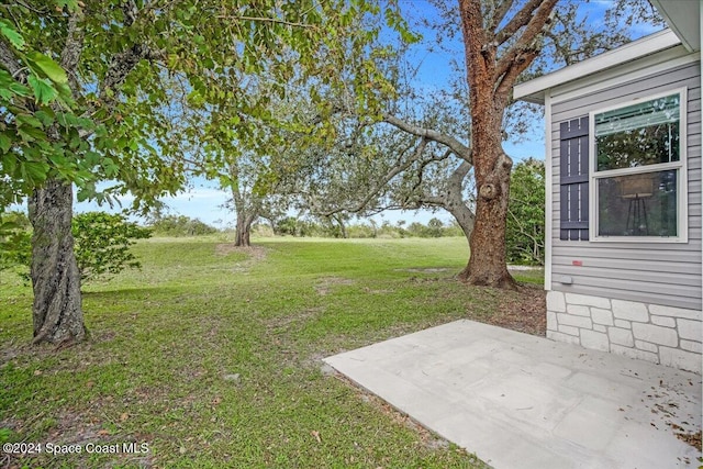 view of yard featuring a patio area