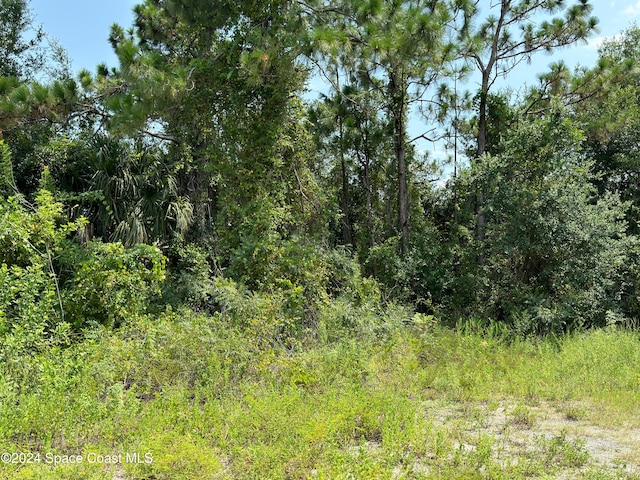 2455 Harrison St, Titusville FL, 32796 land for sale