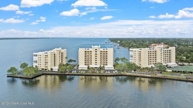 drone / aerial view featuring a water view