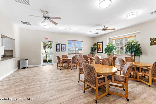 dining area with a wealth of natural light, ceiling fan, and light wood-type flooring