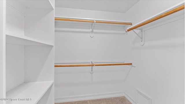 spacious closet with light carpet