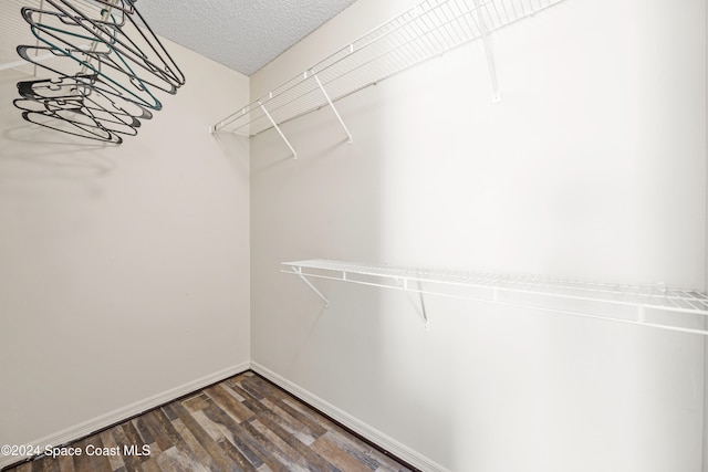 spacious closet with dark hardwood / wood-style flooring