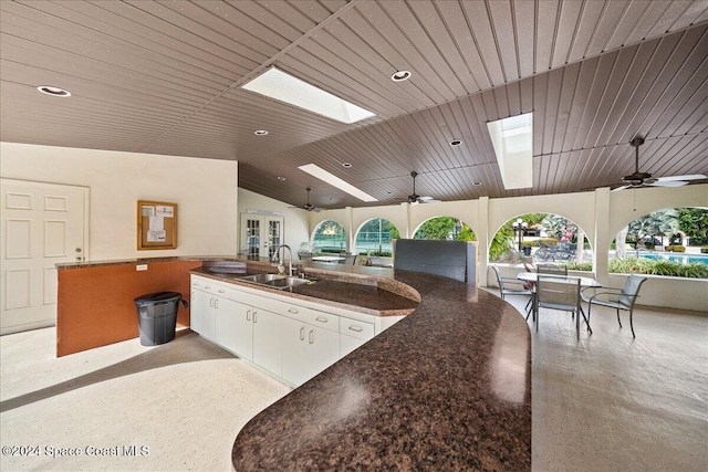 interior space featuring area for grilling, sink, and ceiling fan