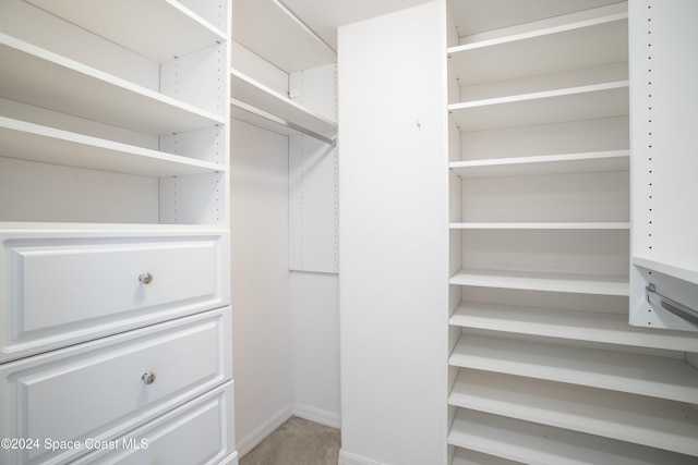 walk in closet with carpet