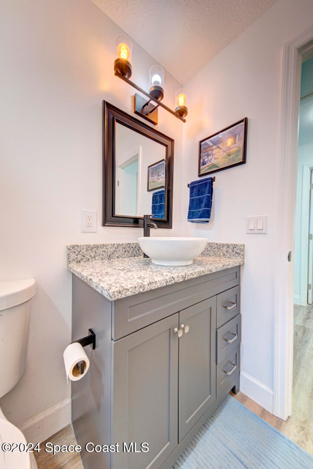 bathroom with toilet, vanity, wood-type flooring, and a textured ceiling