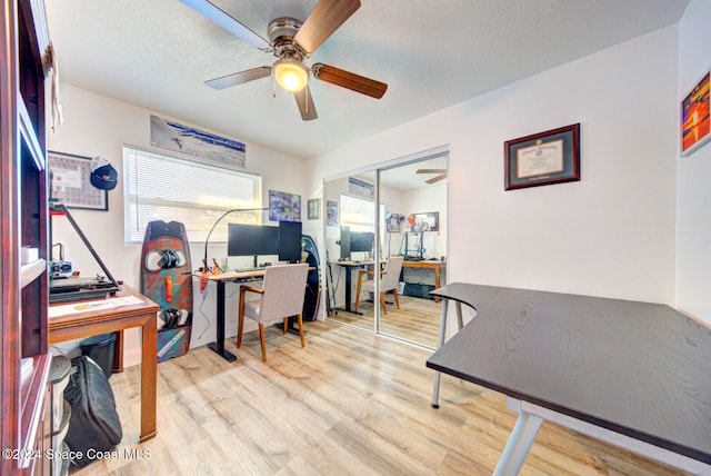 home office featuring a textured ceiling, light hardwood / wood-style floors, and ceiling fan