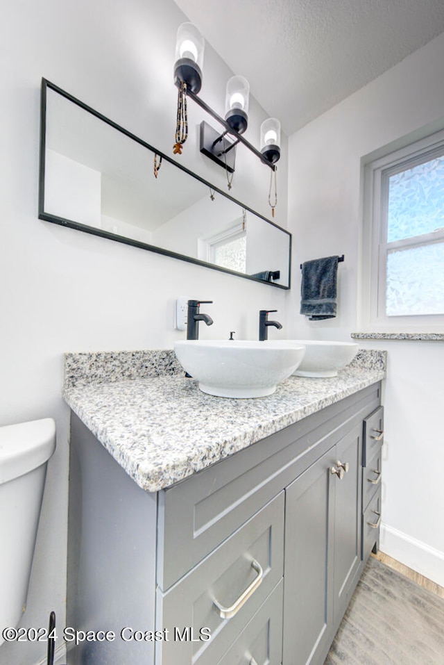 bathroom with hardwood / wood-style floors, vanity, and toilet