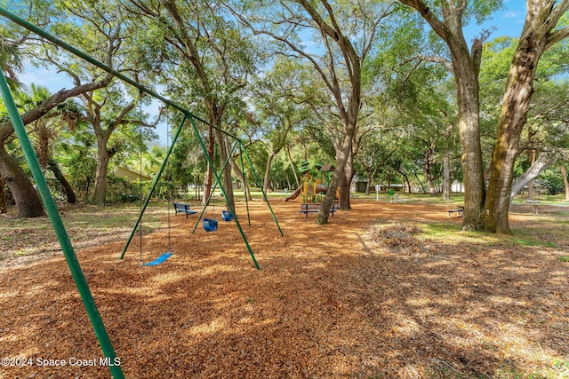 view of jungle gym