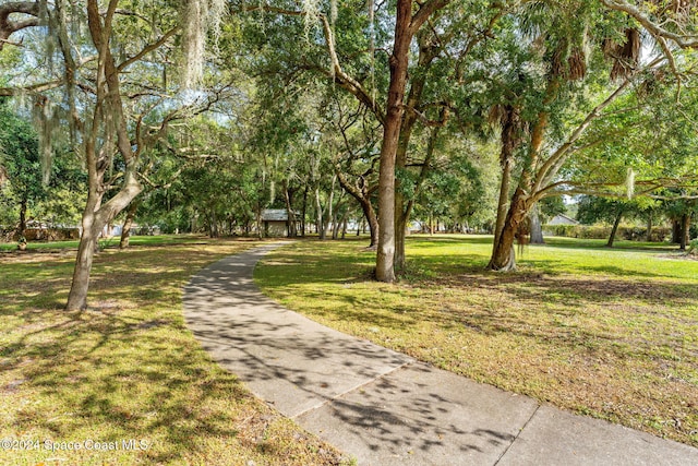 view of community with a lawn