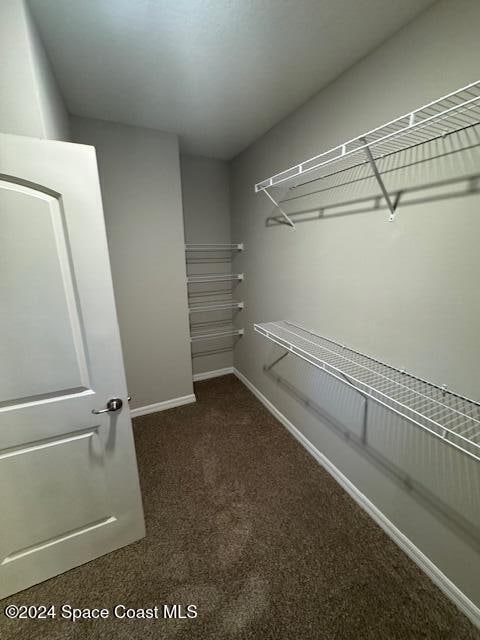 walk in closet with dark colored carpet