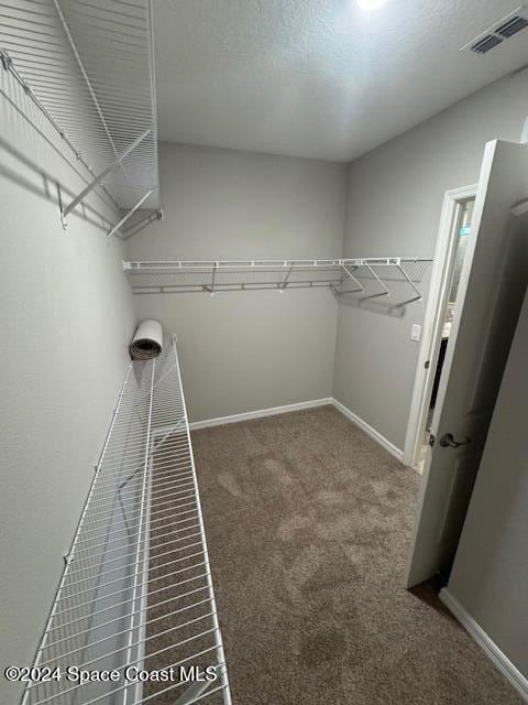 spacious closet featuring carpet floors