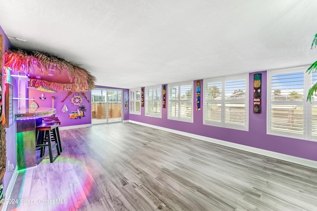 recreation room with indoor bar, hardwood / wood-style flooring, and a healthy amount of sunlight