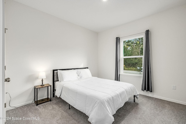 bedroom featuring carpet