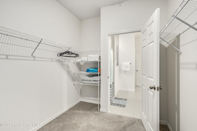 walk in closet featuring carpet floors