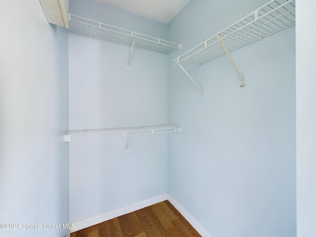 walk in closet featuring hardwood / wood-style flooring