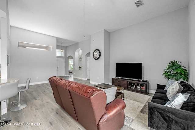 living room with light hardwood / wood-style floors