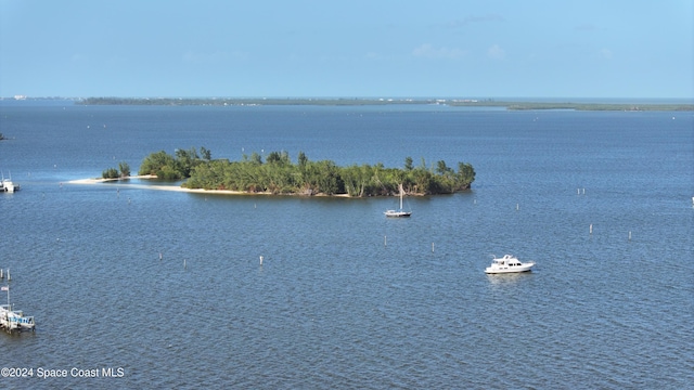 property view of water