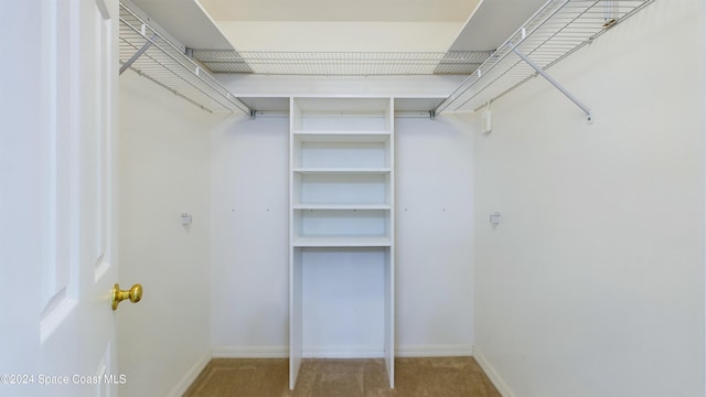 spacious closet with carpet flooring