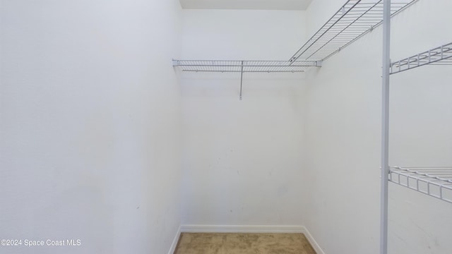 spacious closet with carpet floors