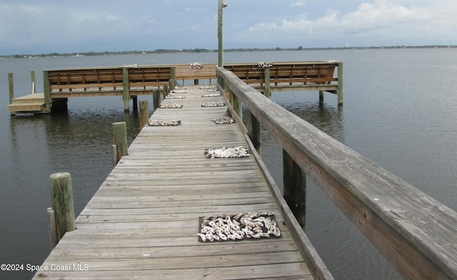 dock area with a water view