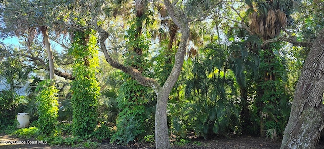 view of landscape