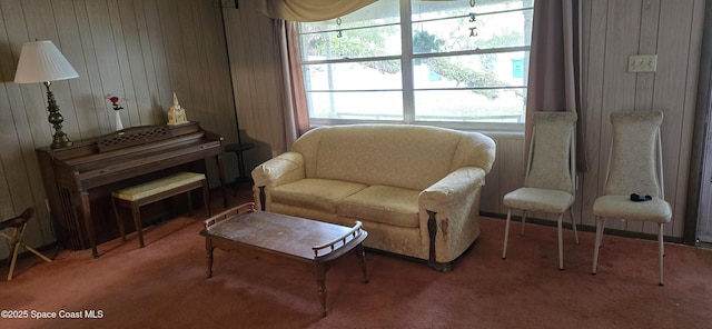 living area with carpet and wooden walls