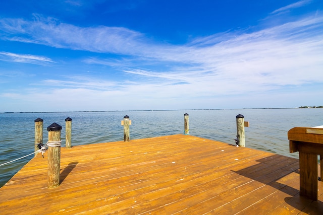 dock area with a water view