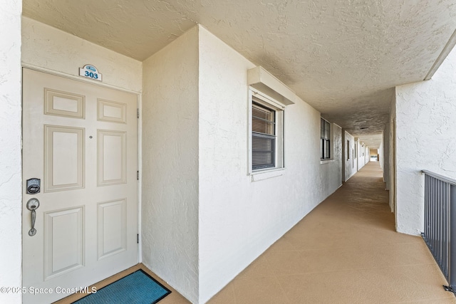 view of exterior entry with stucco siding