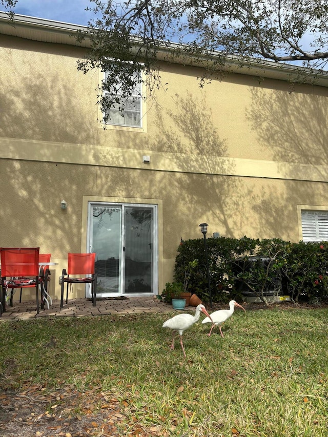 back of house featuring a lawn