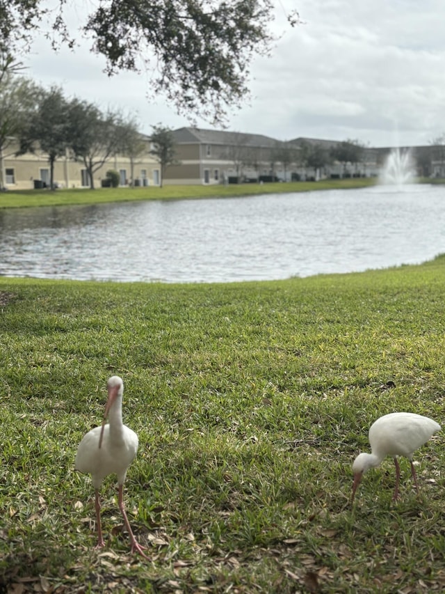 2650 Revolution St Unit 104, Melbourne, FL 32935 - water view