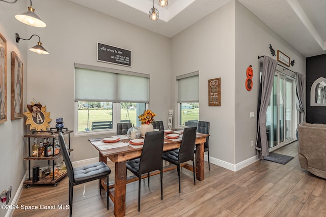 dining space with hardwood / wood-style flooring