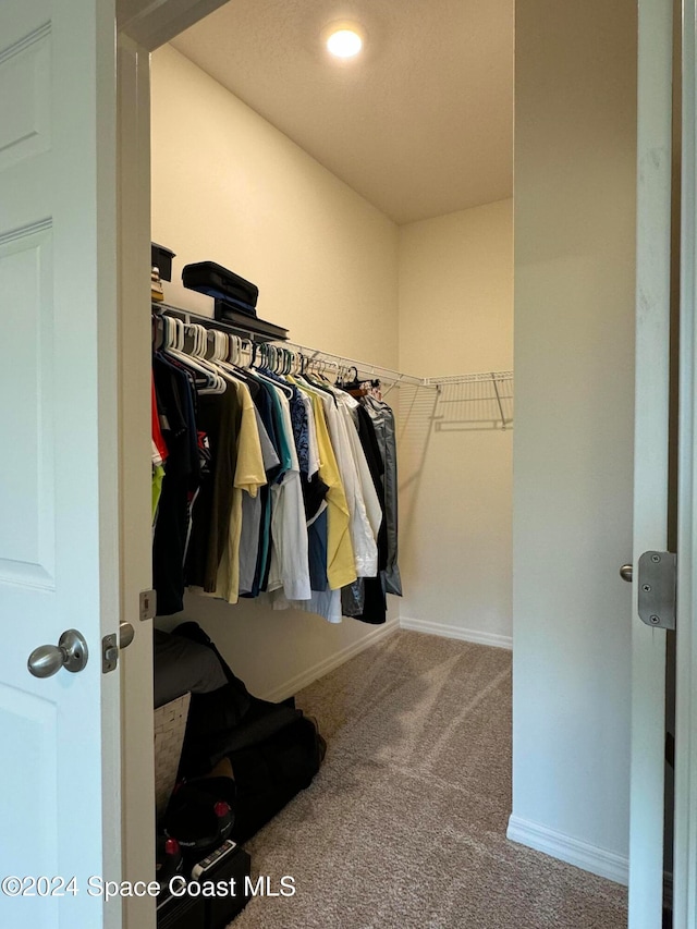 spacious closet with carpet