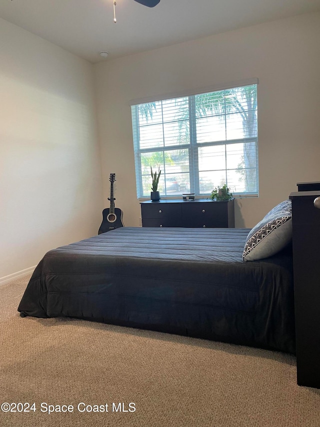 bedroom with carpet floors