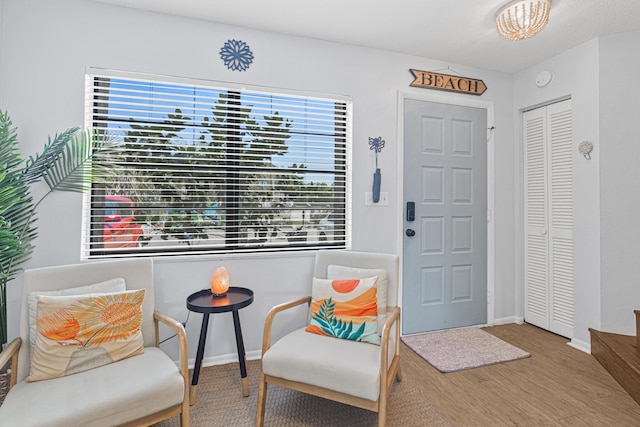 entryway with plenty of natural light and hardwood / wood-style floors