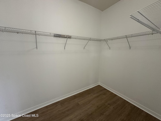 spacious closet with dark wood-type flooring