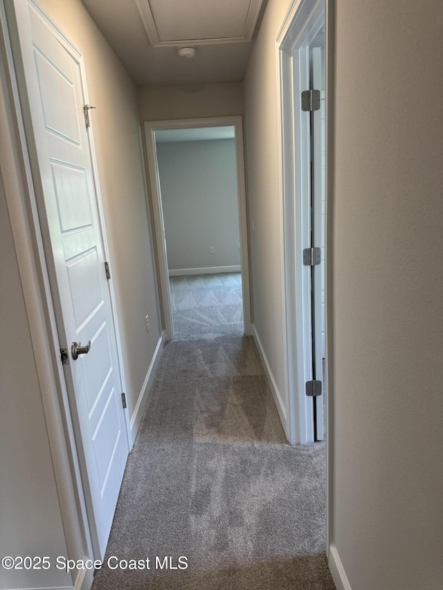 939 Ais St SW, Palm Bay, FL 32908 - photo 10