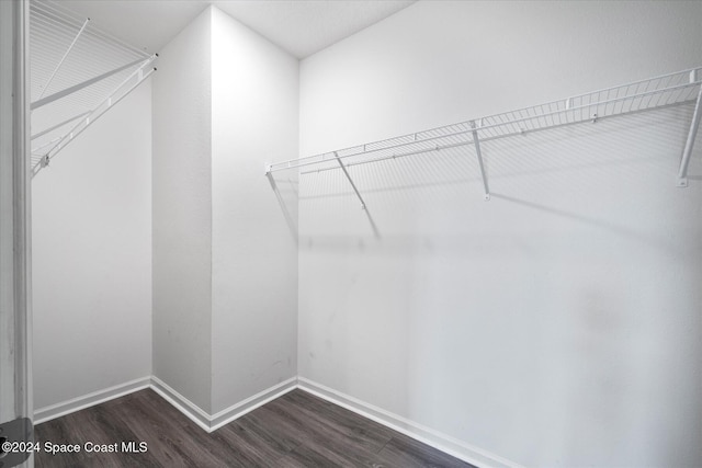 spacious closet featuring dark hardwood / wood-style flooring