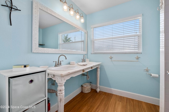 bathroom with hardwood / wood-style flooring