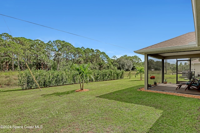 view of yard featuring a patio area