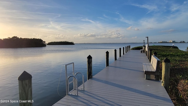 dock area featuring a water view