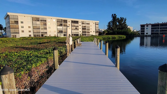 dock area with a water view