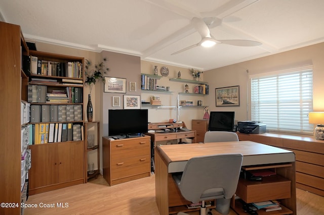 office area featuring ceiling fan, light hardwood / wood-style floors, and ornamental molding